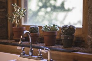 Tips for Styling Your Kitchen Counters